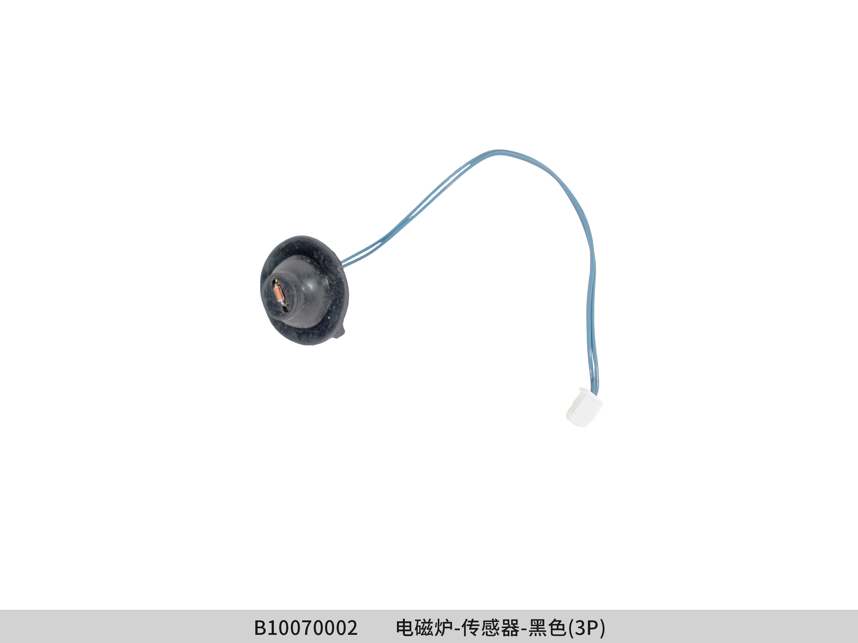 Sensor - B10070002